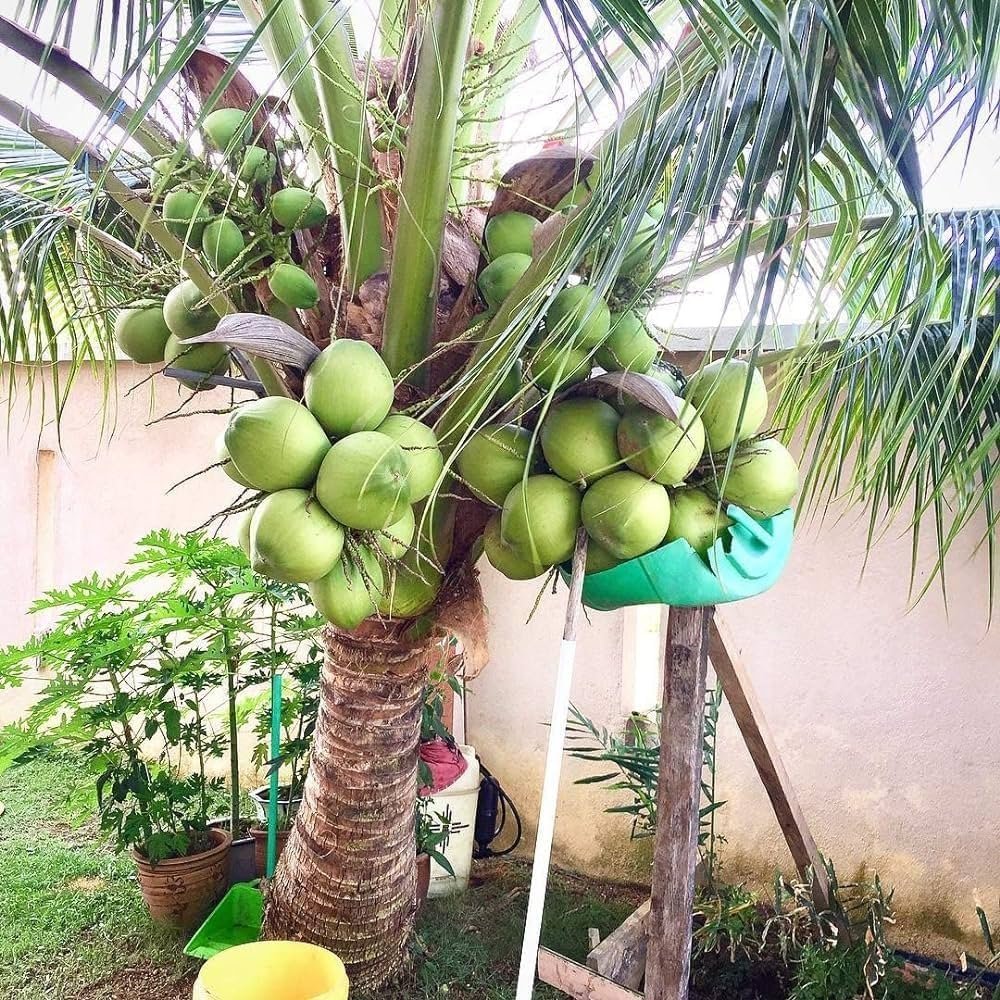 gallery images